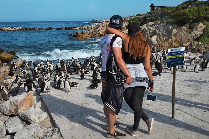 Full-Day Cape Town Private Transfers and Chauffeur Services - How to plan the 300-kilometer limit