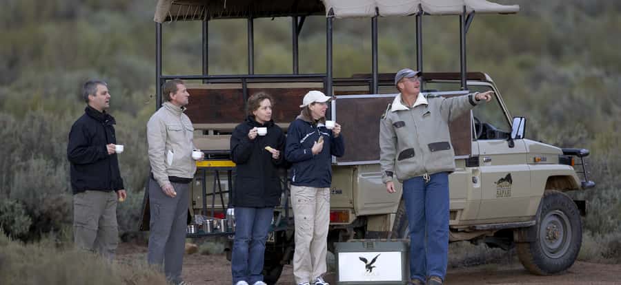 Full Day Cape Town Safari - Practical planning for the 10-hour day