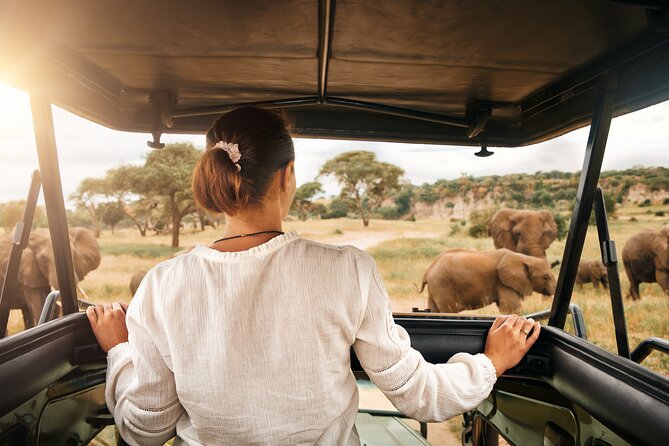 Full Day Exquisite Pilanesberg Safari from Johannesburg - Why Pilanesberg works for a Johannesburg day trip
