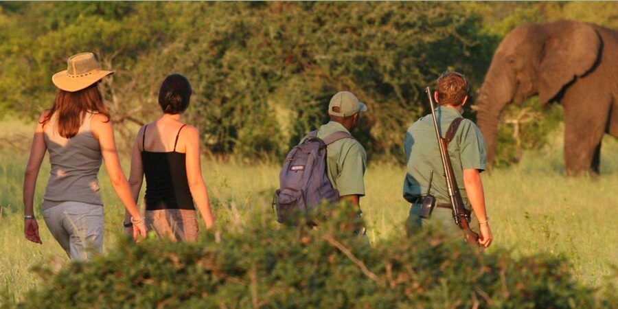 Full Day Hluhluwe Imfolozi Game Reserve Tour from Durban - The guide team and the transport question