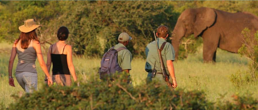 Full Day Hluhluwe Imfolozi Game Reserve Tour from Durban - Who will enjoy this day most?