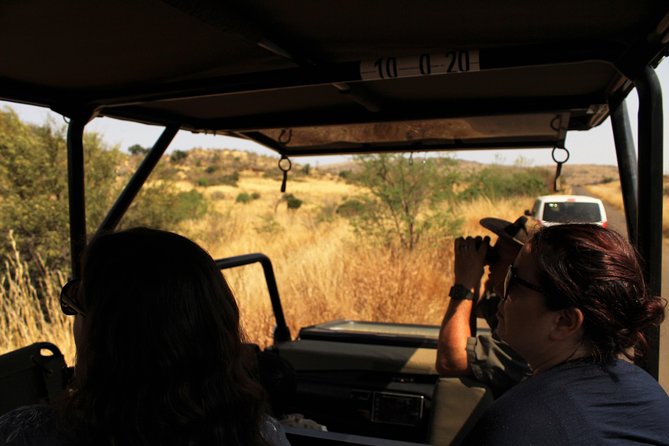 Full Day Pilanesberg Experience in Open Vehicle - A Full Safari Day from Johannesburg