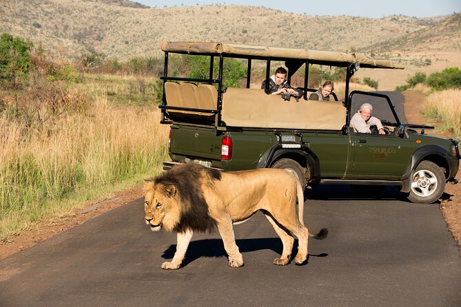 Full Day Pilanesberg Experience in Open Vehicle - How the $137.74 Price Measures Up