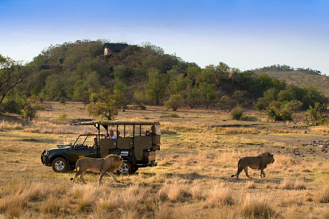 Full Day Pilanesberg Safari Adventure - Meeting at Bakubung Gate or Sun City