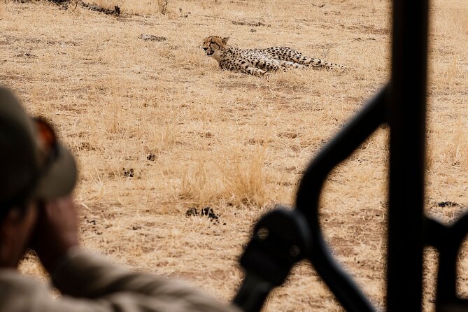 Full Day Pilanesberg Safari Adventure - Is $121.35 a fair price?