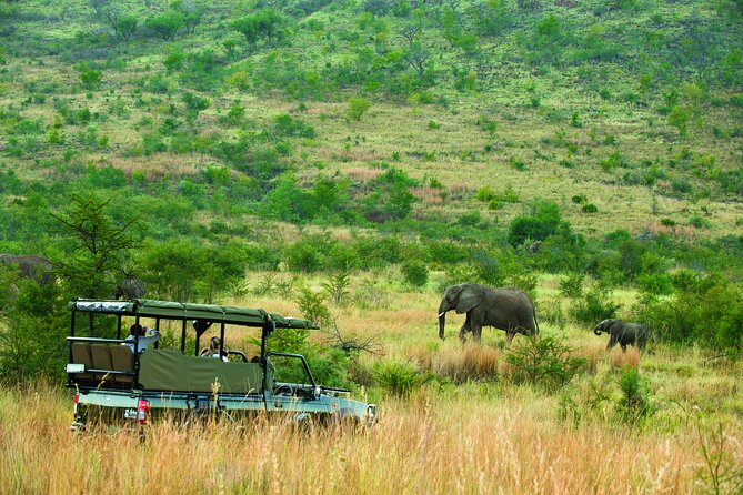 Full Day Pilanesberg Safari Adventure - Who should book this Pilanesberg day trip?