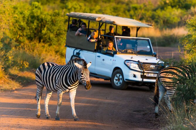 Full Day Pilanesberg Safari Adventure - The 2.5 to 3-hour morning drive