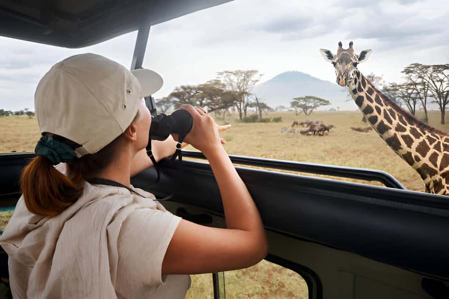 Full-Day Pilanesberg Safari from Sun City - Key points before you book
