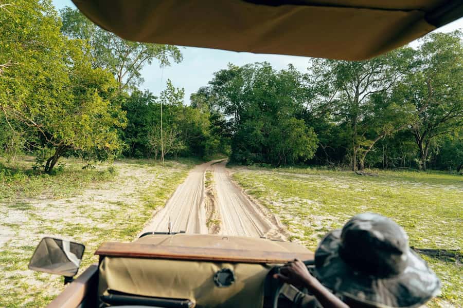 Full-Day Pilanesberg Safari from Sun City - The morning drive from 9:15 AM to 12:15 PM