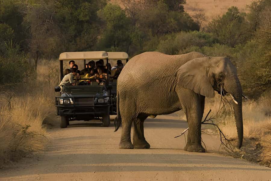 Full-Day Pilanesberg Safari from Sun City - The afternoon drive from 1:30 PM to 3:15 PM