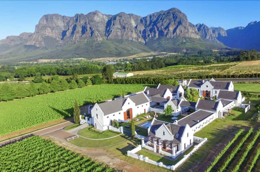 Full-Day Private: Best of the Cape - Why this private Cape day works so well