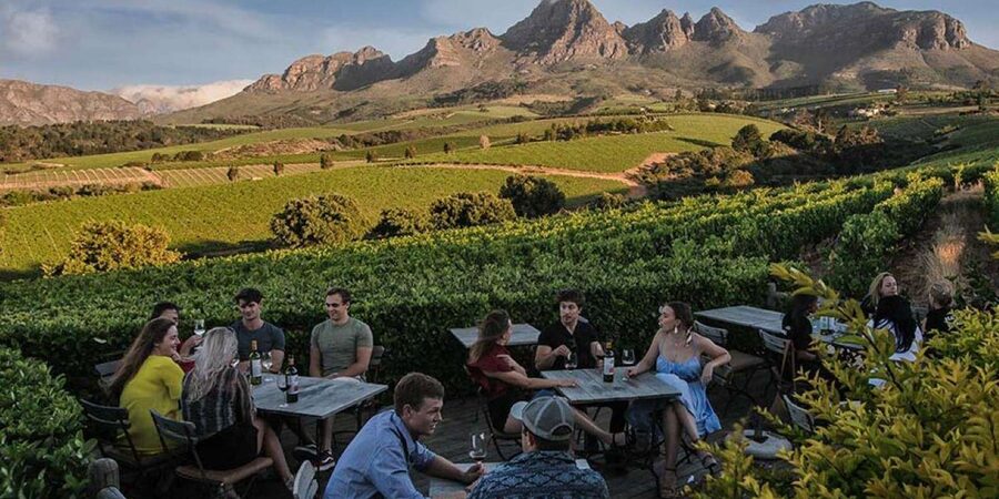 Full-Day Private: Best of the Cape - Simon’s Town adds a useful coastal pause