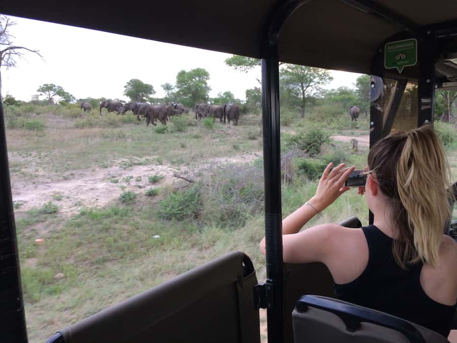Full-Day Private Big 5 Safari in Kruger National Park - Searching Kruger’s Roads for the Big Five