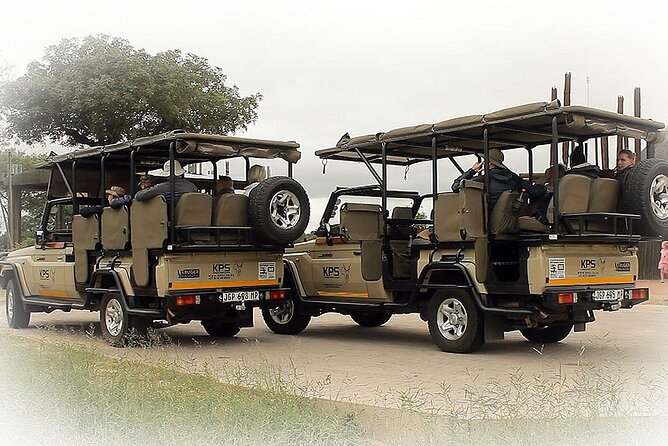 Full Day Private Kruger Park Safari - A pre-sunrise start at 5:00 AM