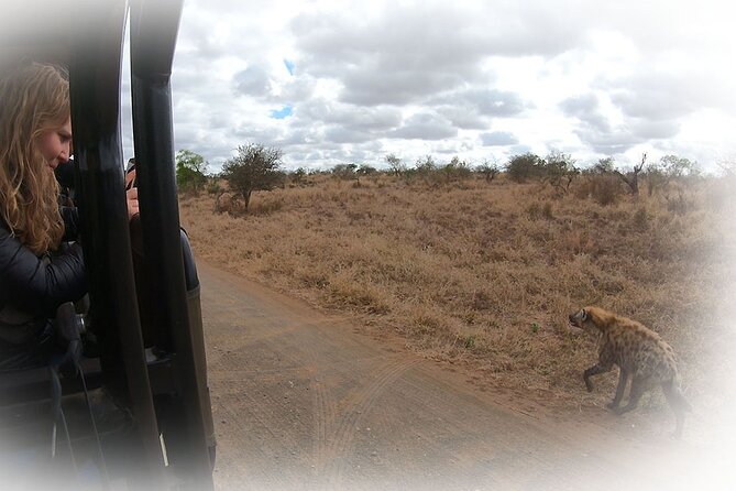 Full Day Private Kruger Park Safari - Midday roads, rest camps, and your own lunch