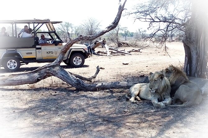Full Day Private Kruger Park Safari - What the $143.78 price really covers