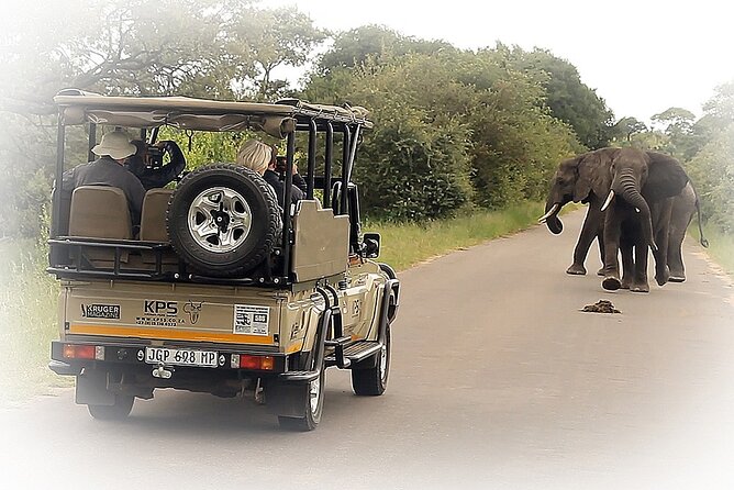 Full Day Private Kruger Park Safari - Tracking the Big Five in the morning light