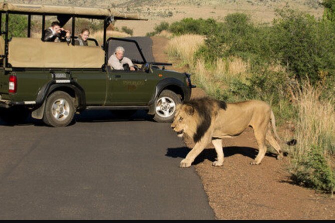 Full Day Safari Tour of Pilanesberg National Park, Open Jeep experience - Who will enjoy this safari most