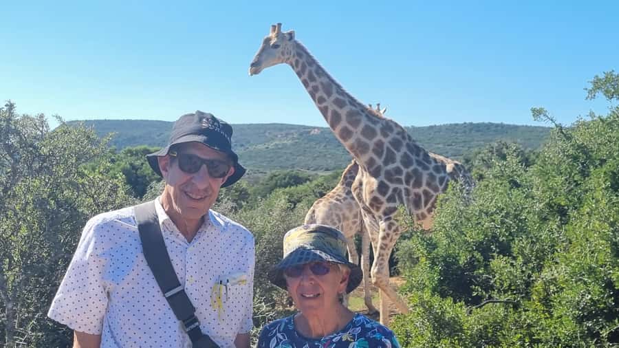 Full-Day Schotia Game Reserve & Giraffe Walk (Open 4x4) - Why Schotia works for a one-day safari