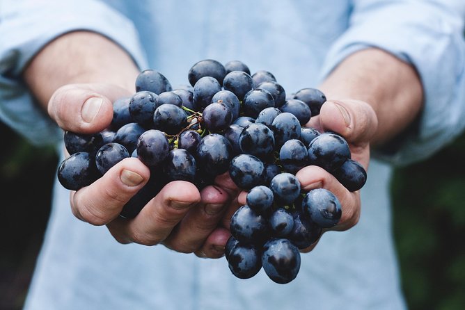 Full-Day Stellenbosch, Franschhoek and Paarl Wine Tasting Tour from Cape Town - Marianne Wine Estate and the cheese tasting