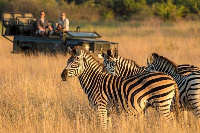 Full Day -Tala Game Reserve, Natal Lion Park, Phezulu From Durban - Should you book this three-stop safari?