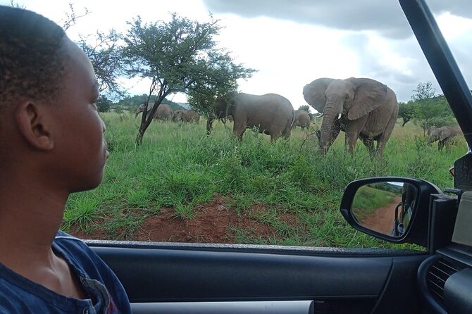 Full Day Ultimate Pilanesberg National Park Safari from Johannesburg or Pretoria - Why Pilanesberg works for a Johannesburg safari day