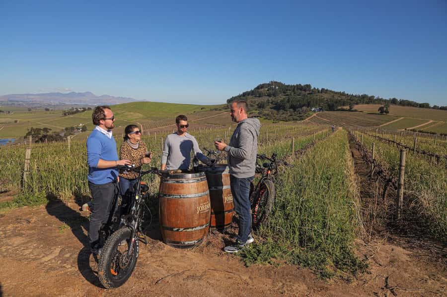 Full-Day Winelands E-Bike Tour with Wine Tasting & Lunch - The first estate and its three or four wines