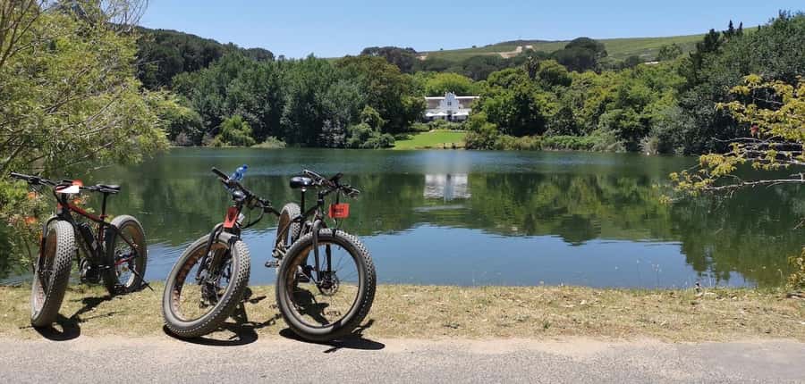 Full-Day Winelands E-Bike Tour with Wine Tasting & Lunch - What the $188 price covers