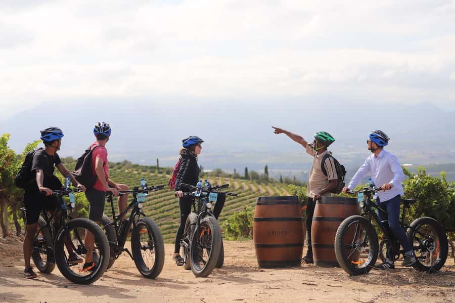 Full-Day Winelands E-Bike Tour with Wine Tasting & Lunch - The guides can shape the whole day