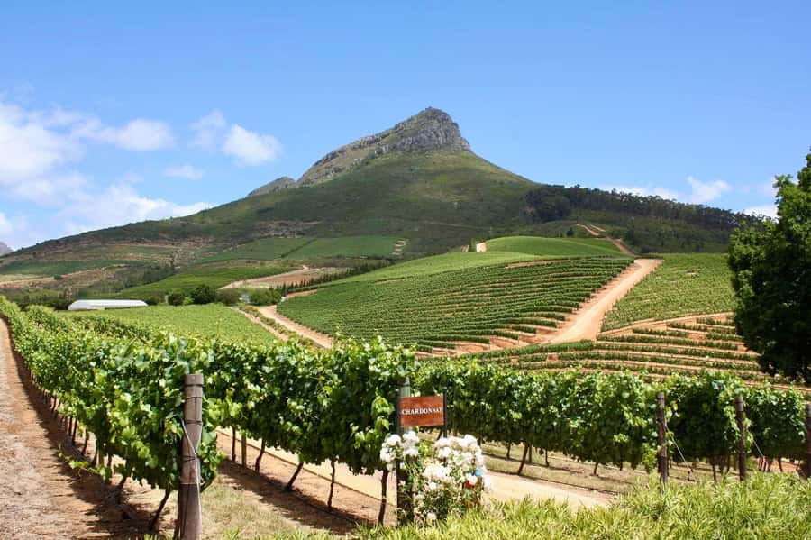 Full-Day Winelands E-Bike Tour with Wine Tasting & Lunch - Getting comfortable on the electric bikes