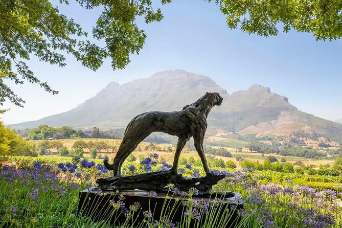 Full Day Winelands Tour With Wine Tasting from Cape Town - Key points to know before booking