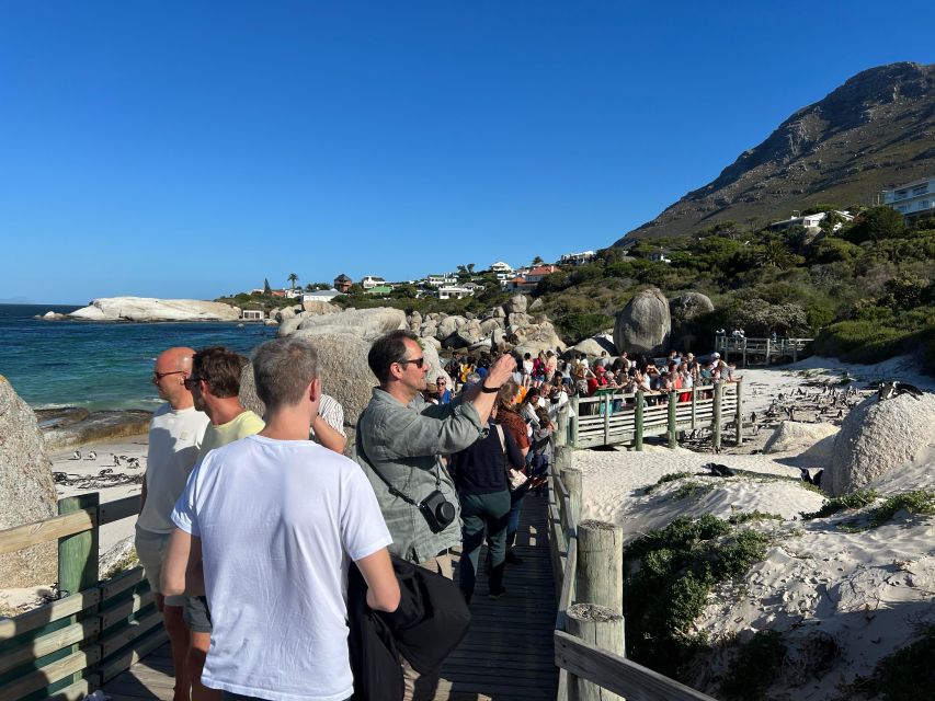 Fully Day Cape Of Good Hope, Penguins, Bo Kaap , Seals Tour - Chapman’s Peak Drive is the scenic centerpiece