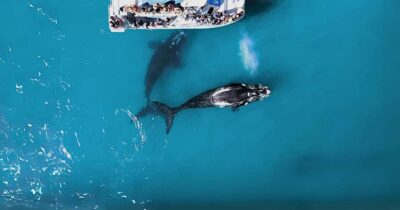 Marine Big 5 Boat tour