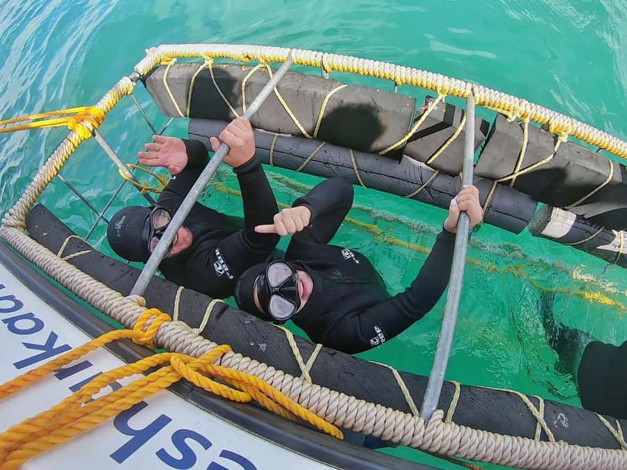 Gansbaai: Shark Cage Diving and Shark Viewing Boat Trip - Watching sharks from the boat