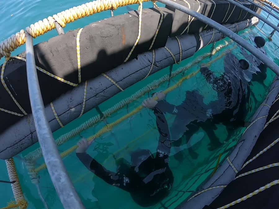Gansbaai: Shark Cage Diving and Shark Viewing Boat Trip - Comfort, weather, and what to pack