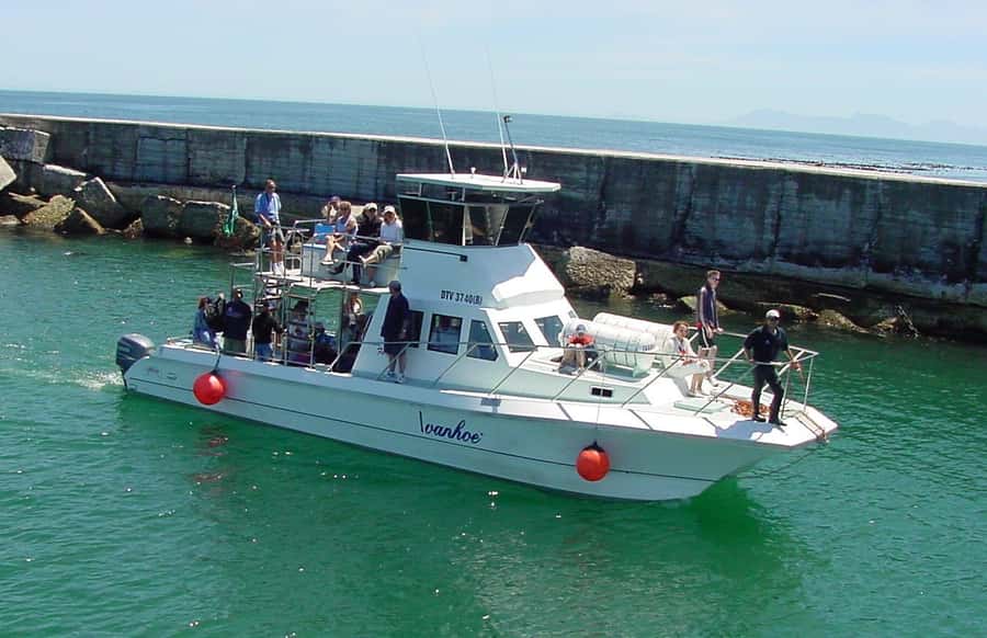 Gansbaai: Whale Watching Trip by Boat - Leaving Gansbaai’s Fishing Harbour
