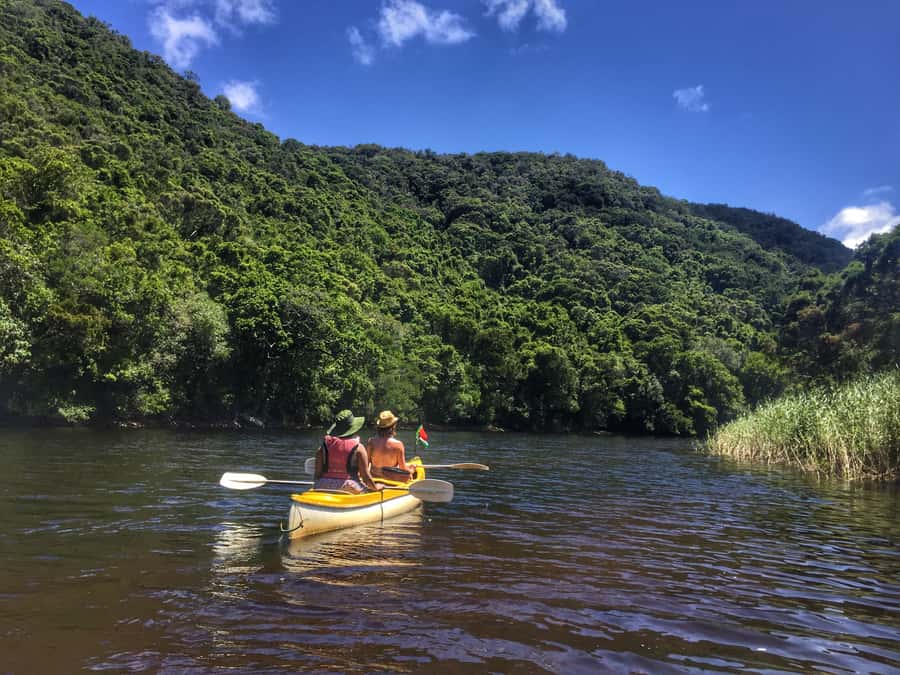 Garden Route and Addo Elephant National Park: 5-Day Safari - The route in one fast, scenic sweep