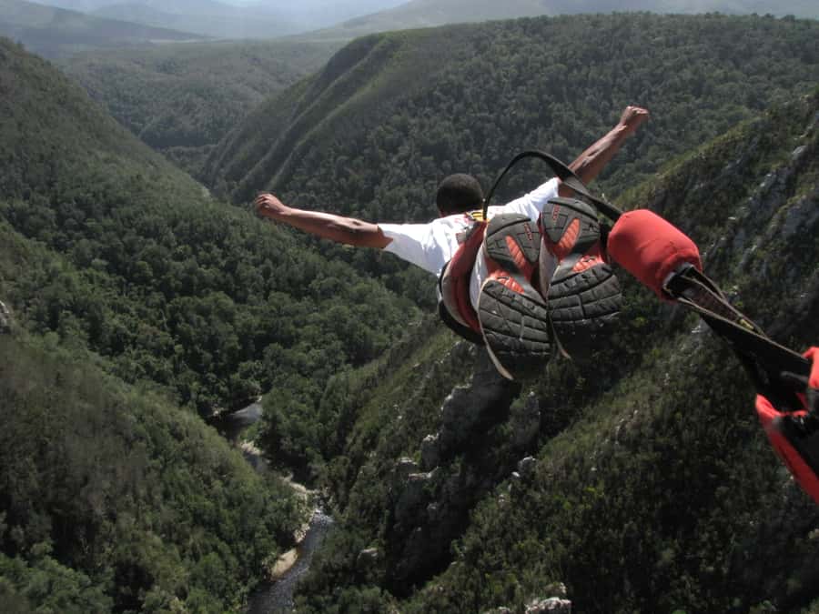 Garden Route and Addo Elephant National Park: 5-Day Safari - Guides, group size, and the van