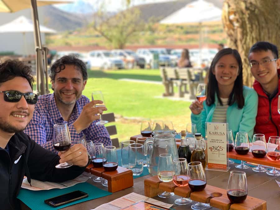 Garden Route and Addo Elephant National Park: 5-Day Safari - Day 1: Penguins, whales, and Africa’s southern tip