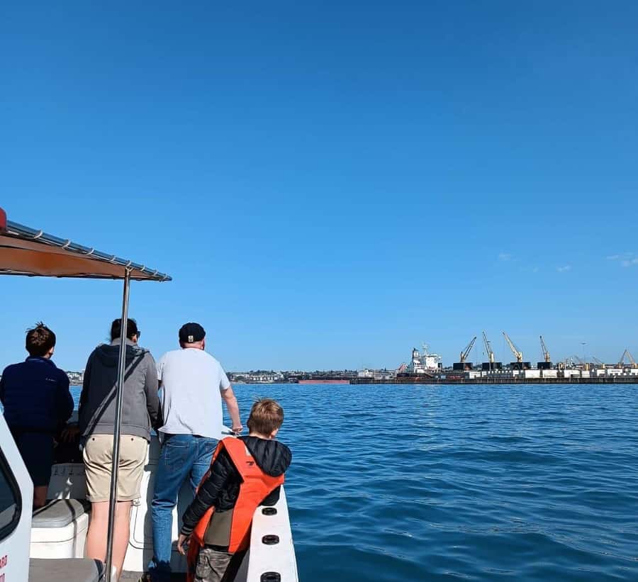 Gqeberha: 30 MINUTE HARBOUR CRUISE - What this Gqeberha harbour cruise is really about