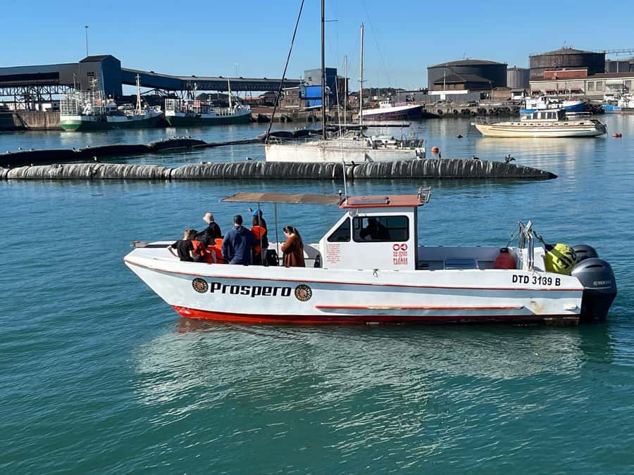 Gqeberha: 30 MINUTE HARBOUR CRUISE - Cargo, berths, and the working port