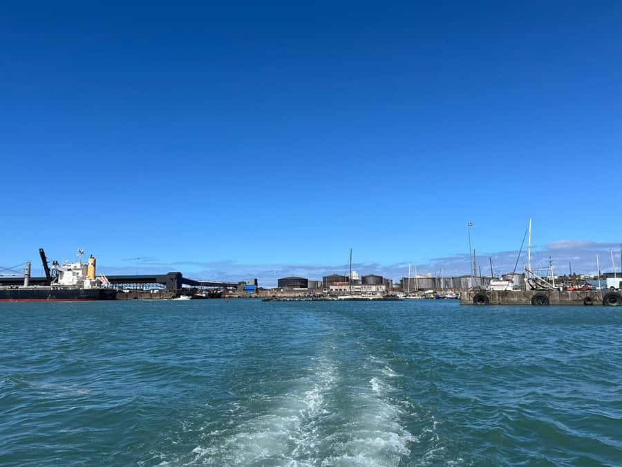 Gqeberha: 30 MINUTE HARBOUR CRUISE - Who will get the most from the experience