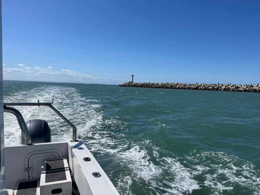Gqeberha: 30 MINUTE HARBOUR CRUISE - The value of the $18 price