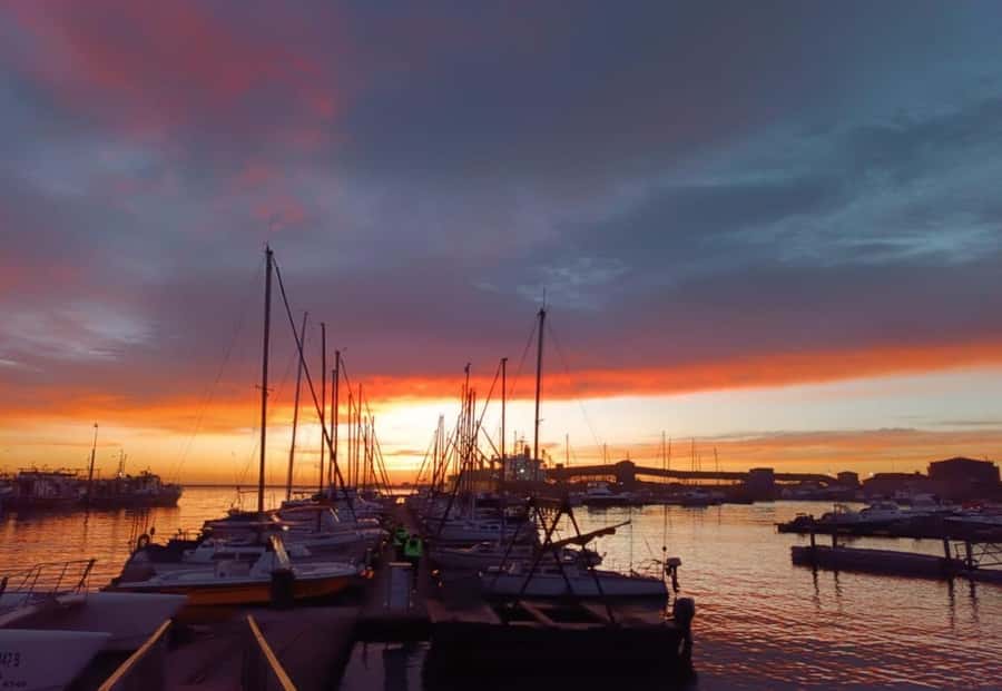 Gqeberha: 30 MINUTE HARBOUR CRUISE - Small-group service and languages