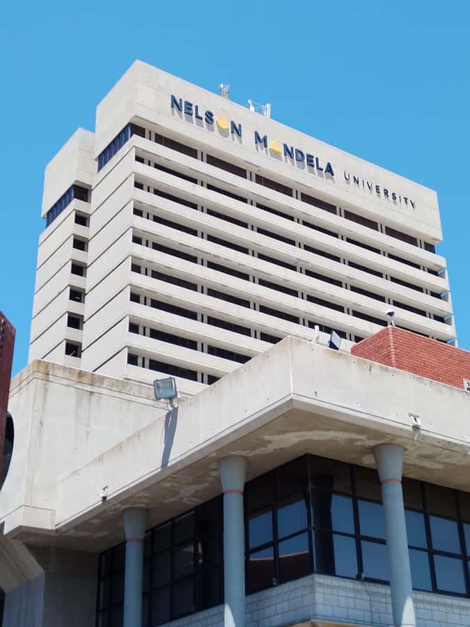 Gqeberha: City Highlights Car and Walking Tour - Walking through the city center and Donkin Reserve
