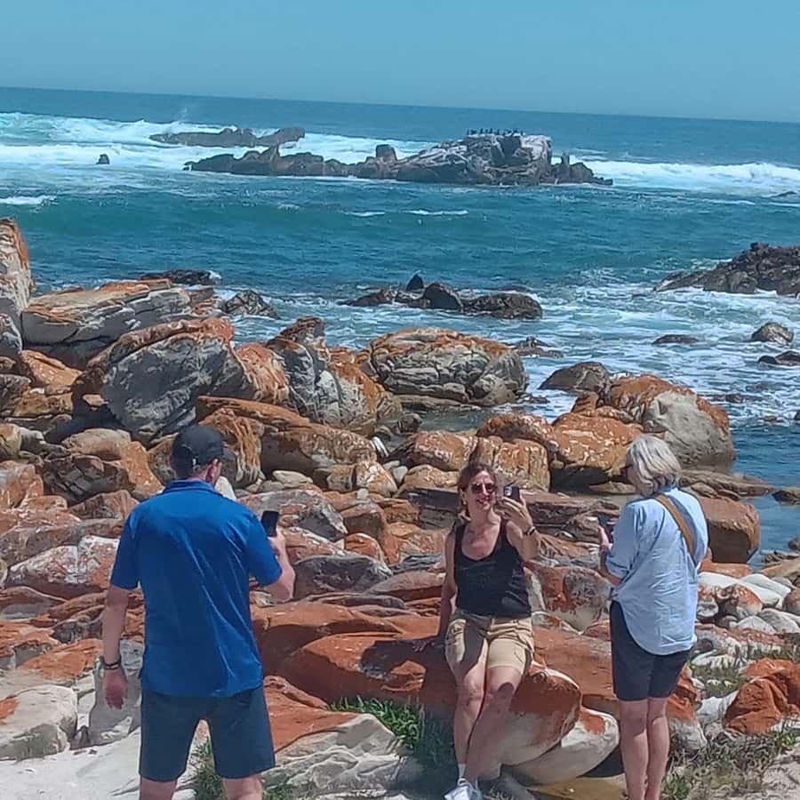 Gqeberha: City Highlights Car and Walking Tour - Who will get the most from this tour