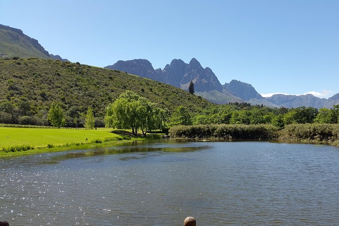 Guided Bike Tour of Stellenbosch - Jonkershoek Valley by bicycle