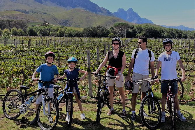 Guided Bike Tour of Stellenbosch - Stark-Condé and the Jonkershoek views