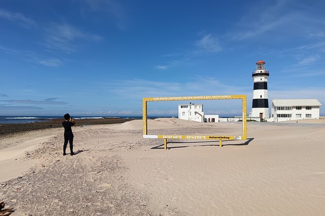 Guided Port Elizabeth Coastal Tour - Key points to know before booking