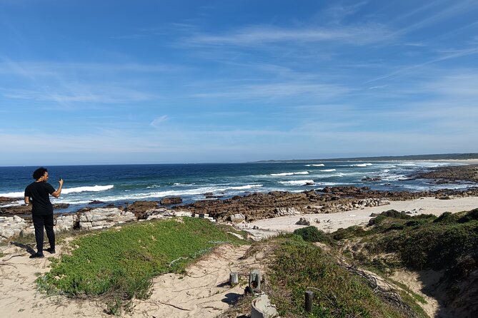 Guided Port Elizabeth Coastal Tour - Starting at Shark Rock Pier